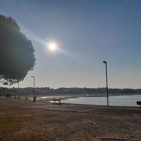 Le 322 Entre Lac Et Ocean ヴュー・ブコー・レ・バン エクステリア 写真